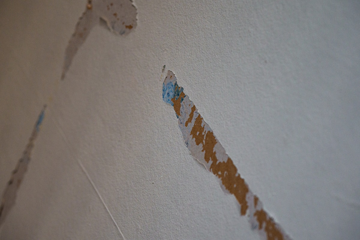Water Extraction service in Eden Prairie, MN